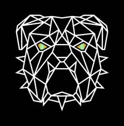 Geometric Icon
